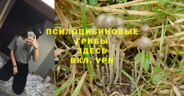 дистиллят марихуана Баксан