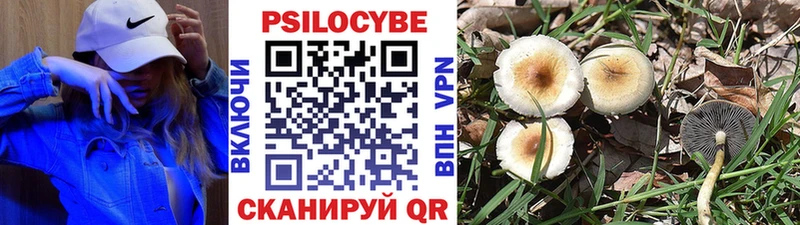 цена наркотик  MEGA   Галлюциногенные грибы мухоморы  Михайлов 